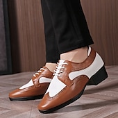 abordables Chaussures de danse-Homme Brogue Brogue Danse Disco Cuir PU Respirant Confortable Antidérapant À lacets Noir / blanc Noir Marron Automne Hiver