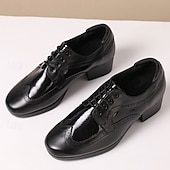 abordables Chaussures de danse-Homme Brogue Brogue Danse Disco Cuir PU Respirant Confortable Antidérapant À lacets Noir / blanc Noir Marron Automne Hiver