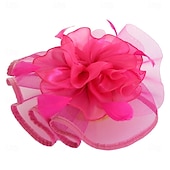 billige Fascinatorer-Hodeplagg Fjær Organza Fedora Hatt Bryllup Kveld Fest Te Fest Hesteløp Cocktail Vintage Sjarmerende Med Fjær Blomster Hodepryd Hodebekledning