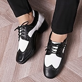 abordables Chaussures de danse-Homme Brogue Brogue Danse Disco Cuir PU Respirant Confortable Antidérapant À lacets Noir / blanc Noir Marron Automne Hiver