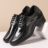 abordables Chaussures de danse-Homme Brogue Brogue Danse Disco Cuir PU Respirant Confortable Antidérapant À lacets Noir / blanc Noir Marron Automne Hiver