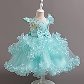 preiswerte Partykleider-Kinder Mädchen Partykleid Einfarbig Ärmellos Leistung Besonderer Anlass Prinzessin Süß Polyester Partykleid Sommer Frühling Kinder Hellgrün Blau