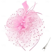 preiswerte Faszinator-Fascinator-Hut, Feder-Stirnband, Damen-Fascinator, Teeparty-Kopfbedeckung mit Clip, Blumen-Stirnband für Mädchen &amp;Ampere