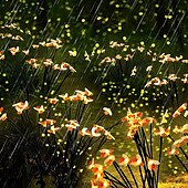 economico Luci paesaggistiche-2 luci solari da giardino a forma di lucciola, 8/10 LED, luci da giardino esterne impermeabili con 2 modalità di illuminazione, luci oscillanti IP65 per decorazioni natalizie, da giardino, da patio e da passerella