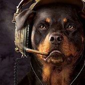 levne Trička se zvířecím vzorem-seržant rott vincent hie pánské 3d tričko tričko s krátkým rukávem 3D tisk košile s výstřihem móda přehnaná denní párty pouliční ležérní černá léto jaro všechna roční období oblečení oblečení