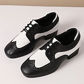 abordables Chaussures de danse-Homme Brogue Brogue Danse Disco Cuir PU Respirant Confortable Antidérapant À lacets Noir / blanc Noir Marron Automne Hiver