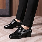 abordables Chaussures de danse-Homme Brogue Brogue Danse Disco Cuir PU Respirant Confortable Antidérapant À lacets Noir / blanc Noir Marron Automne Hiver
