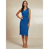 abordables Ensembles de robes-Femme Robe Ensemble Robe dentelle Robe casual Robe de Mousseline Elégant Décontractées Plein Dentelle Robe mi-longue manche longue Col V Sortie Vin Bleu Automne Hiver Standard