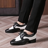 abordables Chaussures de danse-Homme Brogue Brogue Danse Disco Cuir PU Respirant Confortable Antidérapant À lacets Noir / blanc Noir Marron Automne Hiver