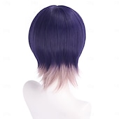 economico Parrucche Anime-Parrucca Sintetica Sword and sword also vtuber rainbow Club Liscio Liscio naturale Asimmetrico Frangia Dritta Fatto a macchina Parrucca 12 pollici A1 Capelli Sintetici Per donna Classico Confortevole