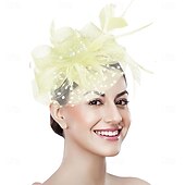 غطاء للرأس ريشة صاف قبعة فيدورا زفاف حفلة ليلية حفلة شاي سباق خيول كوكتيل عتيق لطيف مع ريش خوذة أغطية الرأس رخيصةأون فاسيناتور وقبعات-غطاء للرأس ريشة صاف قبعة فيدورا زفاف حفلة ليلية حفلة شاي سباق خيول كوكتيل عتيق لطيف مع ريش خوذة أغطية الرأس