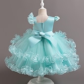 preiswerte Partykleider-Kinder Mädchen Partykleid Einfarbig Ärmellos Leistung Besonderer Anlass Prinzessin Süß Polyester Partykleid Sommer Frühling Kinder Hellgrün Blau