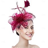 غطاء للرأس ريشة صاف قبعة فيدورا زفاف حفلة ليلية حفلة شاي سباق خيول كوكتيل عتيق لطيف مع ريش خوذة أغطية الرأس رخيصةأون فاسيناتور وقبعات-غطاء للرأس ريشة صاف قبعة فيدورا زفاف حفلة ليلية حفلة شاي سباق خيول كوكتيل عتيق لطيف مع ريش خوذة أغطية الرأس