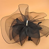 abordables Fascinateurs-Coiffe Tulle Chapeau Fedora Mariage Anniversaire Soirée Fête du thé Course de Chevaux Élégant ancien Mignon Avec Plume Casque Couvre-chef