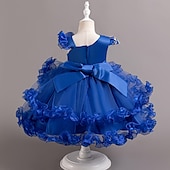preiswerte Partykleider-Kinder Mädchen Partykleid Einfarbig Ärmellos Leistung Besonderer Anlass Prinzessin Süß Polyester Partykleid Sommer Frühling Kinder Hellgrün Blau
