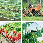 رخيصةأون الحدائق-شبكة حماية من الطيور مقاس 5*20 متر، شبكة نباتات للحديقة لحماية النباتات وأشجار الفاكهة من الطيور والغزلان والدواجن، أفضل سياج