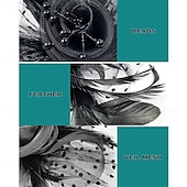 غطاء للرأس ريشة صاف قبعة فيدورا زفاف حفلة ليلية حفلة شاي سباق خيول كوكتيل عتيق لطيف مع ريش خوذة أغطية الرأس رخيصةأون فاسيناتور وقبعات-غطاء للرأس ريشة صاف قبعة فيدورا زفاف حفلة ليلية حفلة شاي سباق خيول كوكتيل عتيق لطيف مع ريش خوذة أغطية الرأس