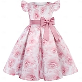 cheap Party Dresses-Kids Girls' Party Dress Solid Color Graphic Sleeveless Performance Special Occasion Princess Sweet Polyester Party Dress Summer Spring kids Pink Blue Brown