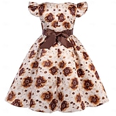 cheap Party Dresses-Kids Girls' Party Dress Solid Color Graphic Sleeveless Performance Special Occasion Princess Sweet Polyester Party Dress Summer Spring kids Pink Blue Brown