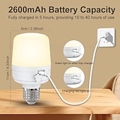 economico Luci del disco-1 pz. Lampada E27 con testa di ricarica magnetica, piccola luce notturna, telecomando staccabile, lampada da comodino, luce da parete, temporizzazione regolabile, interfaccia tipo C.
