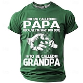 お買い得  メンズおもしろTシャツ-男性用 面白いスラング お父さん Tシャツ 半袖 Tシャツ 3Dプリント クルーネック シャツ ファッション 日常 カジュアル ストリート カジュアル 日常 ブラック ルビーレッド ブルー 夏 春 衣類 S M L XL XXL XXXL