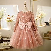 preiswerte Partykleider-Kinder Mädchen Kleid Partykleid Einfarbig Langarm Leistung Pailletten Netz Prinzessin Süß Netzstoff Knöchellang Etui-Kleid Tüllkleid Sommer Frühling Herbst Kinder Rosa Wein Khaki
