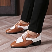 abordables Chaussures de danse-Homme Brogue Brogue Danse Disco Cuir PU Respirant Confortable Antidérapant À lacets Noir / blanc Noir Marron Automne Hiver