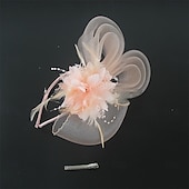 ieftine fascinatoare-Pălărie Fedora din Tulle cu Pene Pălărie de Nuntă Petrecere de Seară Petrecere Teafă Cursă de Cai Cocktail Vintage Drăguță cu Accesorii cu Pene