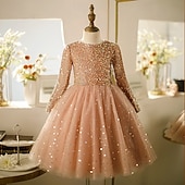 preiswerte Partykleider-Kinder Mädchen Kleid Partykleid Einfarbig Langarm Leistung Pailletten Netz Prinzessin Süß Netzstoff Knöchellang Etui-Kleid Tüllkleid Sommer Frühling Herbst Kinder Rosa Wein Khaki