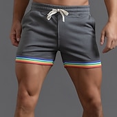 abordables Pantalones cortos de sudor-Hombre Pantalones deportivos Pantalones cortos de sudor Pantalón corto Pantalones cortos de verano Correa Bolsillo Cintura elástica Arco iris Comodidad Transpirable Corto Exterior Deportes Clásico