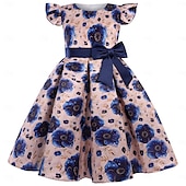 cheap Party Dresses-Kids Girls' Party Dress Solid Color Graphic Sleeveless Performance Special Occasion Princess Sweet Polyester Party Dress Summer Spring kids Pink Blue Brown