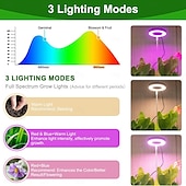 billige Plantevekstlamper-vekstlys fullt spekter led plantelys for innendørs planter vokselampe 10 dimbar lysstyrke automatisk timer svart stativ høydejusterbart halolys for sukkulenter urter løvverk i hjemmet