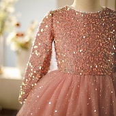 preiswerte Partykleider-Kinder Mädchen Kleid Partykleid Einfarbig Langarm Leistung Pailletten Netz Prinzessin Süß Netzstoff Knöchellang Etui-Kleid Tüllkleid Sommer Frühling Herbst Kinder Rosa Wein Khaki