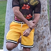 baratos Calções Estilo Casual-Homens calções atléticos Calção Shorts de verão Shorts de basquete Shorts casuais Bolsos Com Cordão Cintura elástica Bloco de cor Conforto Respirável Curto Ao ar livre Férias Desporto Casual Preto