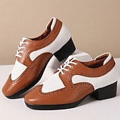 abordables Chaussures de danse-Homme Brogue Brogue Danse Disco Cuir PU Respirant Confortable Antidérapant À lacets Noir / blanc Noir Marron Automne Hiver