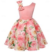 cheap Party Dresses-Kids Girls&#039; Party Dress Graphic Sleeveless Performance Special Occasion Princess Polyester Party Dress Summer Spring kids Multicolor Yellow Light Green