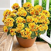 abordables Plantas y Flores Artificiales-6 paquetes de flores artificiales de geranio para decoración al aire libre (maceta no incluida), flores de geranios de seda con aspecto resistente a los rayos UV, plantas artificiales reales para puerta de entrada, jardín, porche, jardinera, patio, balcón