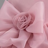 levne Párty šaty-Děti Dívčí Šaty na párty Pevná barva Bez rukávů Svatební Narozeniny Nabírané šaty Zip Kravatový uzel Rozkošný Sladký Polyester Délka ke kolenům Šaty na párty Léto Jaro Podzim Děti Bílá Světlá růžov