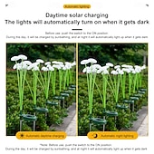 Χαμηλού Κόστους Διαδρομές και φανάρια-2 τεμάχια ηλιακό φως μανιταριών για μονοπάτι εξωτερικού χώρου, φως γκαζόν, αδιάβροχο, φως κήπου, σπίτι, αυλή, κάμπινγκ, διακοπές, διακόσμηση τοπίου, φως