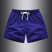 お買い得  カジュアルショートパンツ-男性用 サマーショーツ ビーチショーツ カジュアルショーツ ポケット ドローストリング 弾性ウエスト 平織り 履き心地よい 高通気性 ショート アウトドア バケーション スポーツ カジュアル レイクブルー ブラック