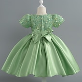 abordables Robes de fête-Tout-petit Fille Robe de Soirée Paillettes Manche Courte Mariage Soirée Paillettes Fermeture éclair Noeud de cravate Actif Adorable Polyester Mi-long Robe de Soirée Été Printemps Automne 4-7 ans