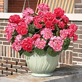 abordables Plantas y Flores Artificiales-6 paquetes de flores artificiales de geranio para decoración al aire libre (maceta no incluida), flores de geranios de seda con aspecto resistente a los rayos UV, plantas artificiales reales para puerta de entrada, jardín, porche, jardinera, patio, balcón