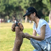 preiswerte Sonnenhut-Hunde-Baseballkappe, Hunde-/Katzen-Sommer-/Strand-Schirmmütze mit Ohrlöchern, verstellbare Welpen-Sonnenhaube, Kopfbedeckung