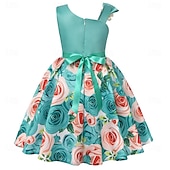 cheap Party Dresses-Kids Girls&#039; Party Dress Graphic Sleeveless Performance Special Occasion Princess Polyester Party Dress Summer Spring kids Multicolor Yellow Light Green
