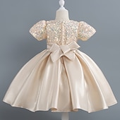 abordables Robes de fête-Tout-petit Fille Robe de Soirée Paillettes Manche Courte Mariage Soirée Paillettes Fermeture éclair Noeud de cravate Actif Adorable Polyester Mi-long Robe de Soirée Été Printemps Automne 4-7 ans