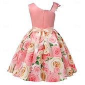 cheap Party Dresses-Kids Girls&#039; Party Dress Graphic Sleeveless Performance Special Occasion Princess Polyester Party Dress Summer Spring kids Multicolor Yellow Light Green