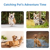 cheap Training Collars-Pet supplies cat cameras outdoor sports cameras video mini body cameras