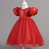 preiswerte Partykleider-Kleinkind Mädchen Partykleid Pailletten Kurzarm Hochzeit Party Netz Reißverschluss Knotenbinde Niedlich Prinzessin Polyester Knielang Paillettenkleid Partykleid Sommer Frühling Herbst 4-7 Jahre Wei