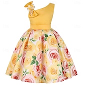 cheap Party Dresses-Kids Girls&#039; Party Dress Graphic Sleeveless Performance Special Occasion Princess Polyester Party Dress Summer Spring kids Multicolor Yellow Light Green