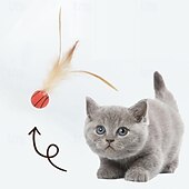 Недорогие Игрушки для кошек-Шарообразные Игрушка с перьями Интерактивная игрушка Писк игрушки с Прочный Упражнение для домашних животных Выпускать давление для Коты Котёнок В помещении На открытом воздухе Игрушки для животных